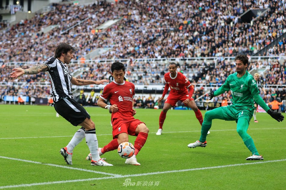 我们多次看 我们多次看